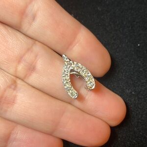 Precious Little Wishbone Pin​